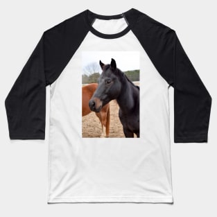 black horse Baseball T-Shirt